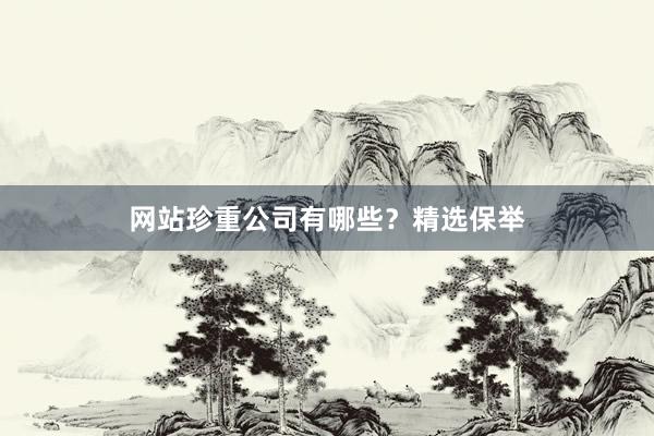 网站珍重公司有哪些？精选保举